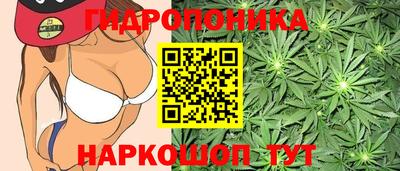 Альфа ПВП Беслан