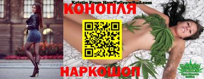 мдпв Бийск