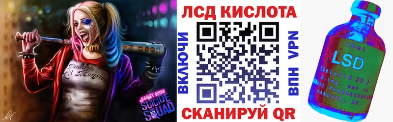 Наркотические марки 1,8мг  где найти наркотики  Каменск-Шахтинский 