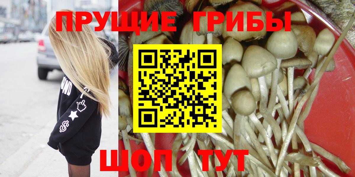 Галлюциногенные грибы MAGIC MUSHROOMS Каменск-Шахтинский
